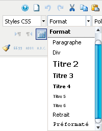 Liste déroulante des formats